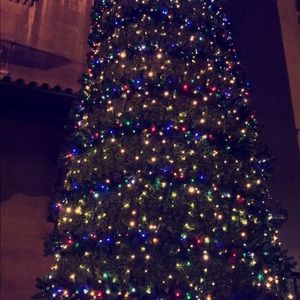 Meet your Posher, Hanan